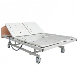Homecare Electric Double Bed 6 Motors-steel panel-wood head foot board-nursing care-homecare-medical care-healthy care-870W9-Chen Kuang